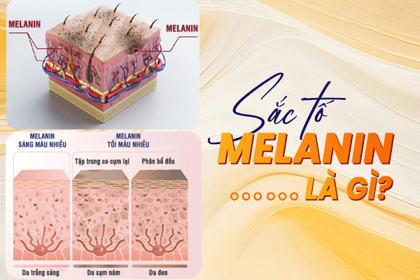 Sắc tố Melanin là gì? Làm thế nào để cân bằng Melanin giữ cho làn da khỏe mạnh